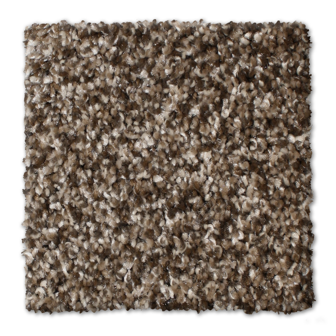 floor-img